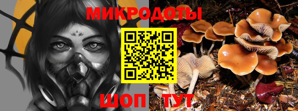 Котовск  Галлюциногенные грибы Psilocybe  Галлюциногенные грибы Cubensis  Вход с VPN 